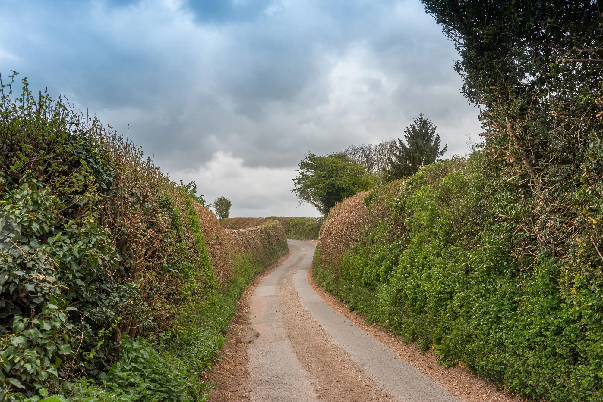 A narrow tarmac lane bending away between high hedgebanks under a grey sky